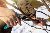 Zo neem je winterstekken